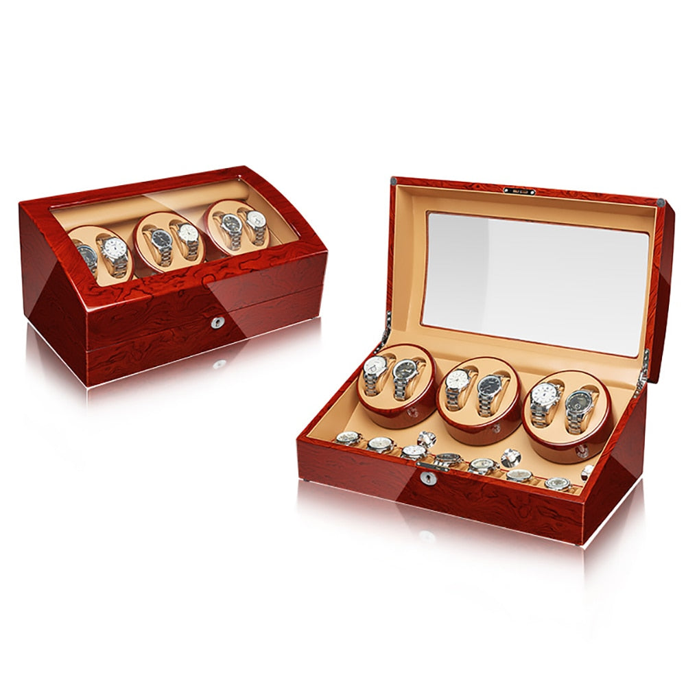 Regal - 6+7 Luxury Watch Winder