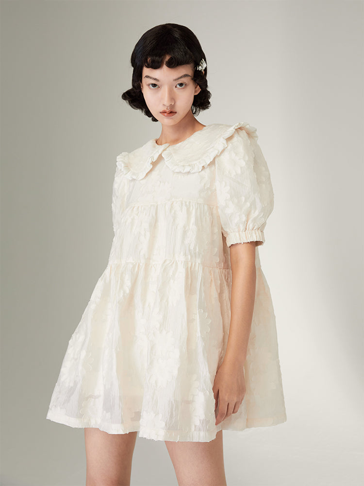 Ruffled Doll Collar Dress